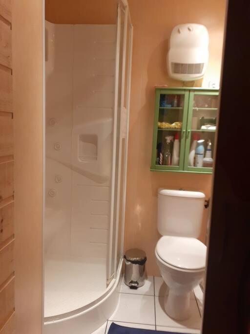 Appartement Face Au Thermes Et Au Calme Bagnères-de-Luchon Zewnętrze zdjęcie